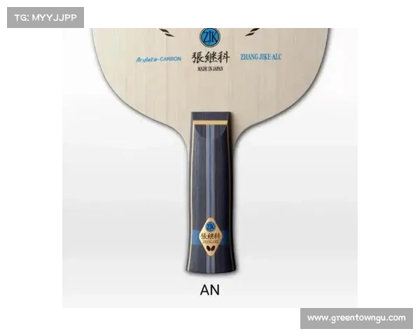 全球乒乓球拍品牌排行榜推荐及选购指南助你找到最适合的拍子 全球乒乓球拍品牌排行榜推荐及选购指南助你找到最适合的拍子